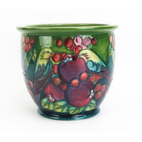 1109 - A Moorcroft pottery jardinière with 'Green Finch' decoration designed by Sally Tuffin, released in 1... 