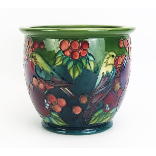 1109 - A Moorcroft pottery jardinière with 'Green Finch' decoration designed by Sally Tuffin, released in 1... 