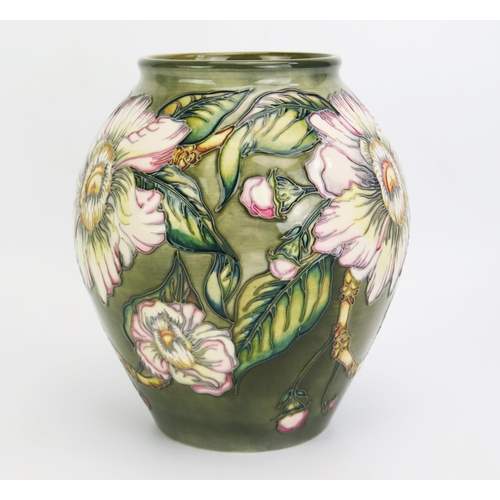 1113 - A Moorcroft pottery vase with 'Gustavia Augusta' pattern decoration designed by Debbie Hancock, rele... 