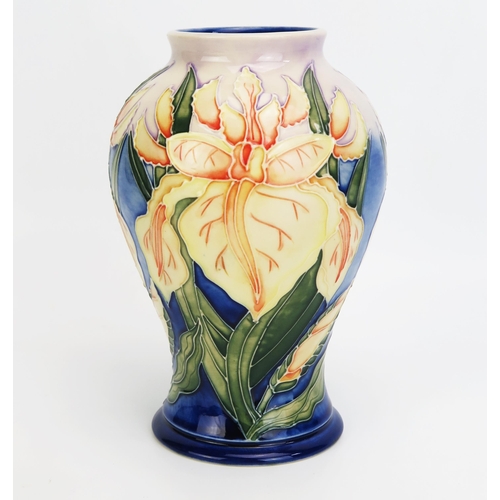 1117 - A Moorcroft pottery vase with 'Windrush' pattern decoration designed by Debbie Hancock, released in ... 