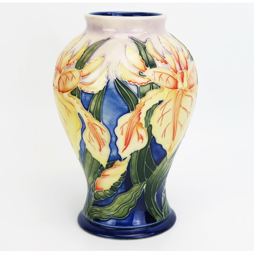 1117 - A Moorcroft pottery vase with 'Windrush' pattern decoration designed by Debbie Hancock, released in ... 