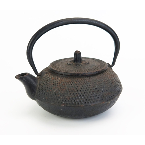 1170 - A Japanese cast iron teapot and cover of traditional design, bears five character marks below the sp... 