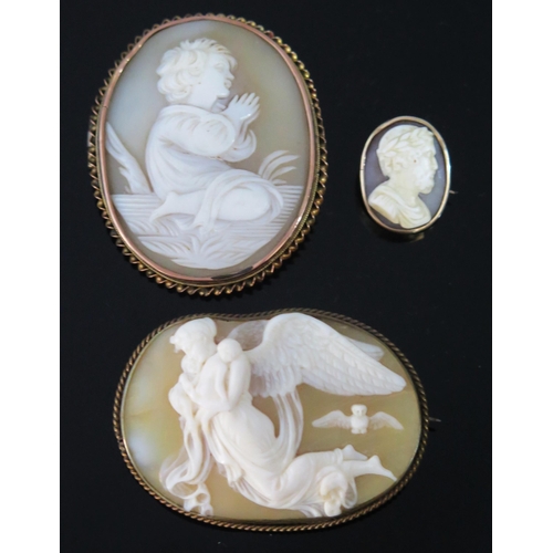 166 - Three 19th Century Shell Cameo Brooches, largest 47mm, smallest, 18mm