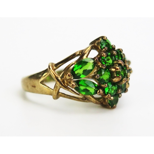 353 - A 9ct Gold and Russian Diopside Ring, 18.5x14mm head, size K, c. 3.84g