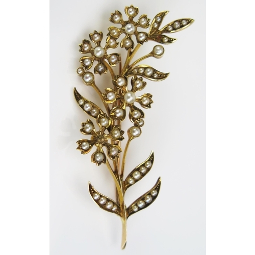 120 - A 15ct Gold and untested Pearl Foliate Spray Brooch, 61mm long, c. 9.74g