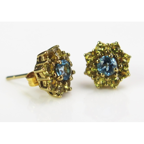 113 - A Pair of 9ct Gold, Aqua Marine and Beryl Earrings, 10mm heads, 2.19g