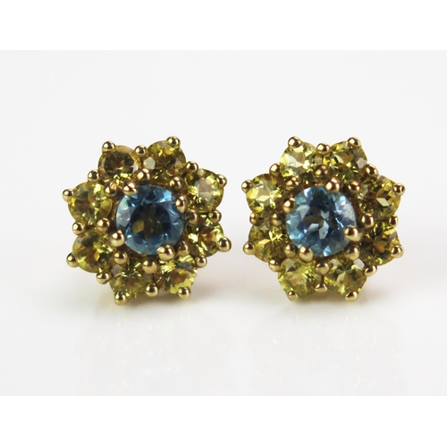 113 - A Pair of 9ct Gold, Aqua Marine and Beryl Earrings, 10mm heads, 2.19g