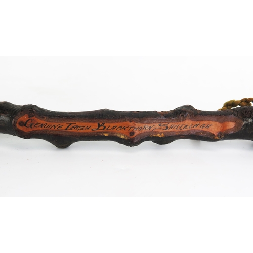 1155 - An Irish Blackthorn shillelagh, 39cm long.