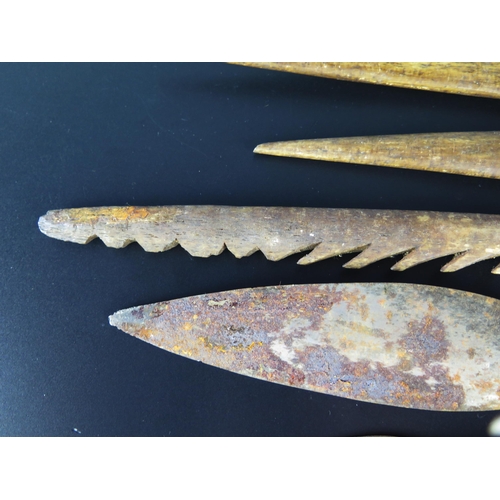 1323 - A collection of five bone fishing spear tips, together with two steel spear tips.