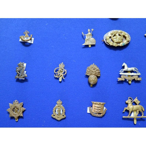 1348 - A collection of British and Commonwealth army cap badges including The King's Own, Lancashire Fusill... 