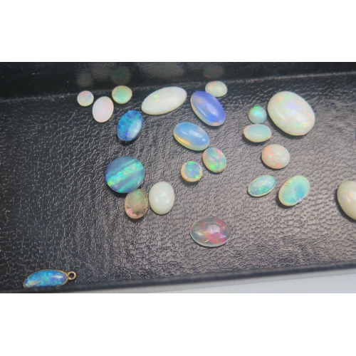 260 - A Selection of Loose Opals, largest 12.8x10mm
