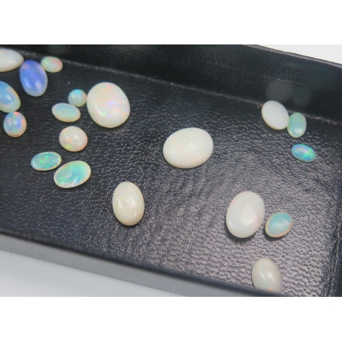 260 - A Selection of Loose Opals, largest 12.8x10mm