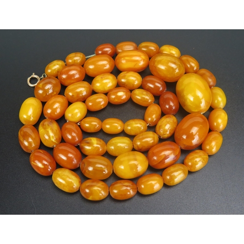 276 - A Baltic Butterscotch Amber Graduated Bead Necklace, 35