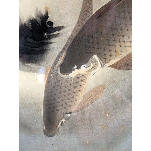 1114 - After Ohara Koson, a woodblock print of carp, one leaping for a fly, 33 x 18cm, F & G.