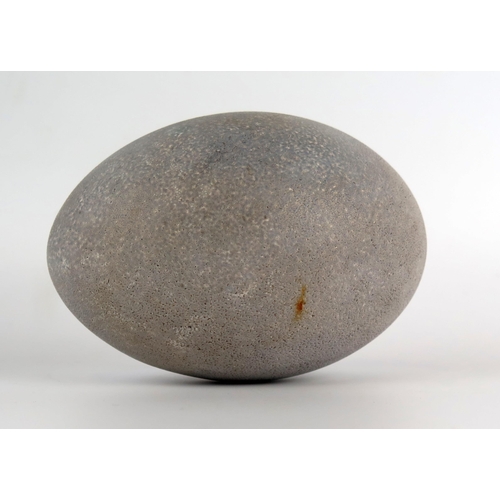 1241 - A blown Ostrich egg, 14cm long.