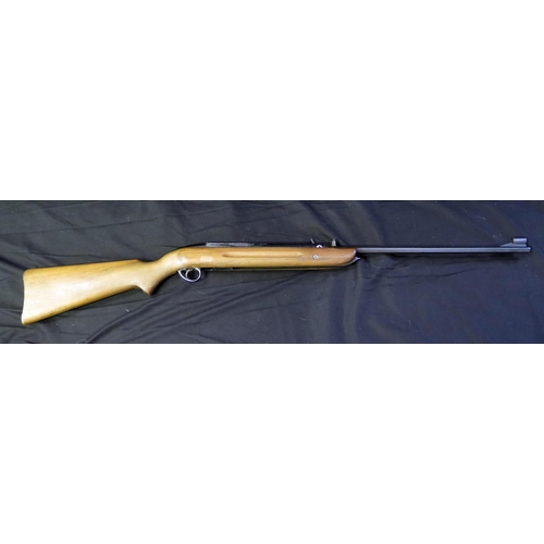 1369 - A BSA .22 calibre air rifle, with under-lever action, overall length 114cm long, with carrying case.