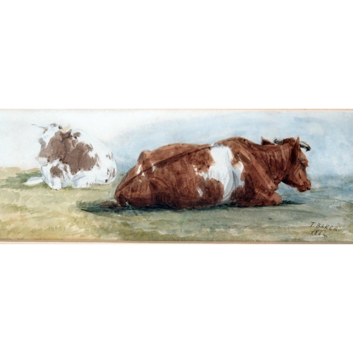 1409 - Thomas Baker (1809-1864)
'Recumbent cattle' watercolour, signed bottom right dated 1864, 7.5 x 21cm,... 