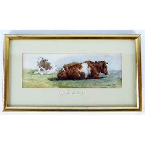 1409 - Thomas Baker (1809-1864)
'Recumbent cattle' watercolour, signed bottom right dated 1864, 7.5 x 21cm,... 