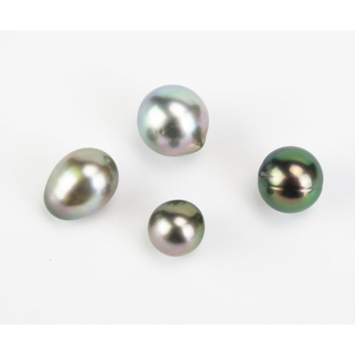 142 - Four Undrilled untested Southsea Pearls, egg shaped 14.5x11mm, next largest 14x13mm