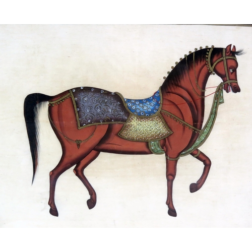 1421 - Indo-Persian school,
Study of horse, gouache,
46 x 70cm F & G.