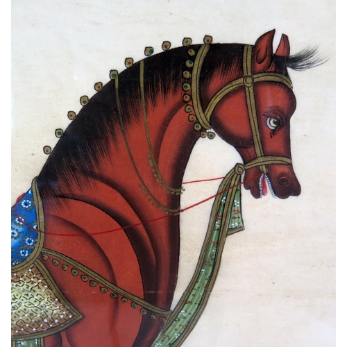 1421 - Indo-Persian school,
Study of horse, gouache,
46 x 70cm F & G.