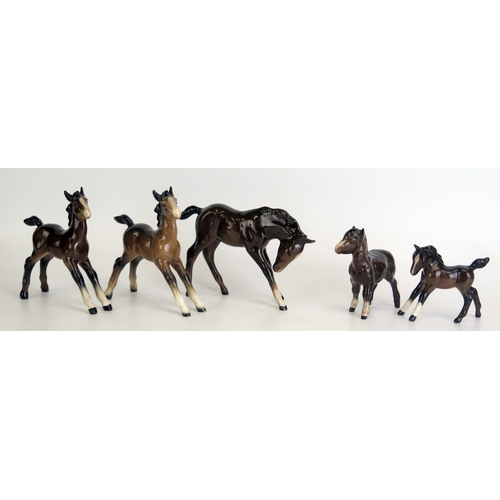 1532 - Five assorted Beswick foals, all gloss finish, various sizes.