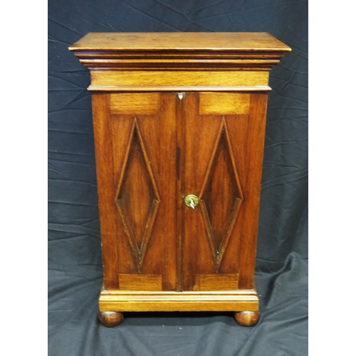 1619 - A 19th century mahogany cabinet, with moulded cornice, and a pair of panelled cupboard doors below, ... 