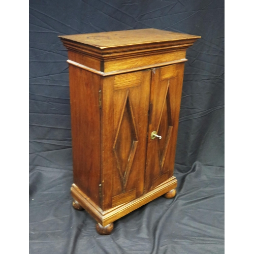 1619 - A 19th century mahogany cabinet, with moulded cornice, and a pair of panelled cupboard doors below, ... 