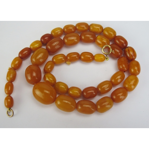 120 - A Butterscotch Amber Bead Necklace, 19.5