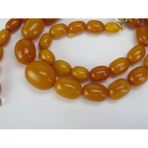 120 - A Butterscotch Amber Bead Necklace, 19.5