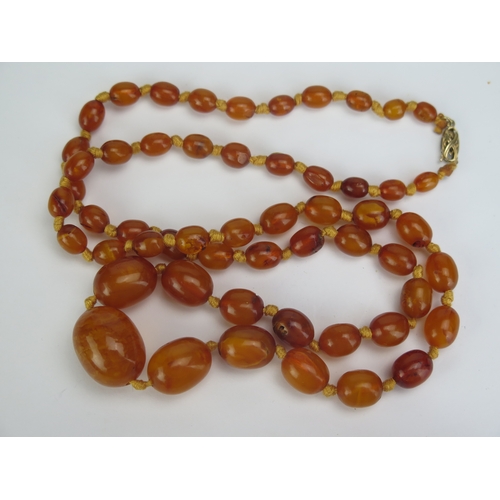 125 - An Amber Bead Necklace with 9ct gold clasp, 31.5