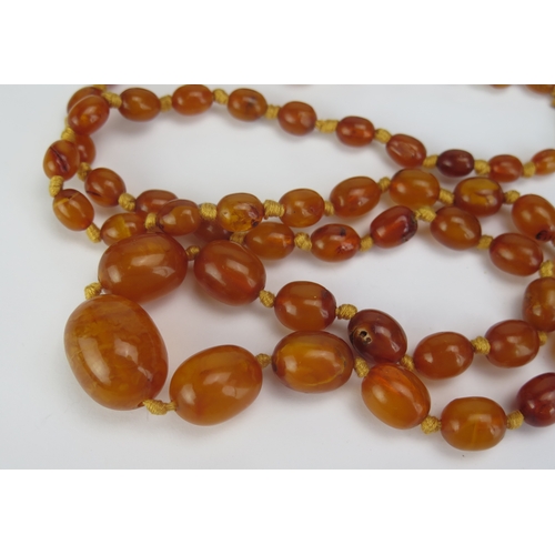 125 - An Amber Bead Necklace with 9ct gold clasp, 31.5