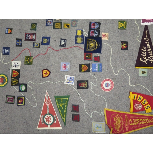 1481 - Boy Scouts Association, a collection of cloth badges, metal badges, includes 8th World Jamboree, Can... 