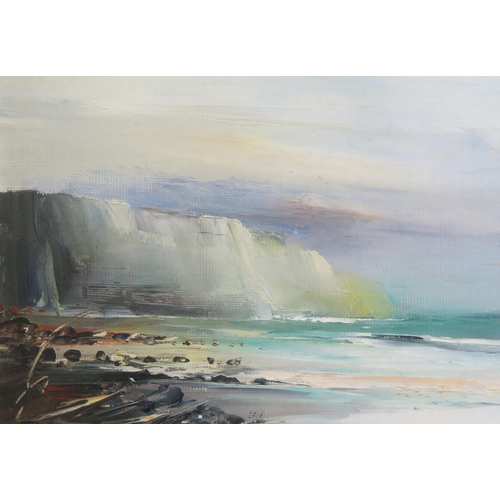 1538 - Robert Freame b. 1948, Dorset Artist, Coastal Cliffs, oil, signed, framed, image size 17 x 13cm, F &... 