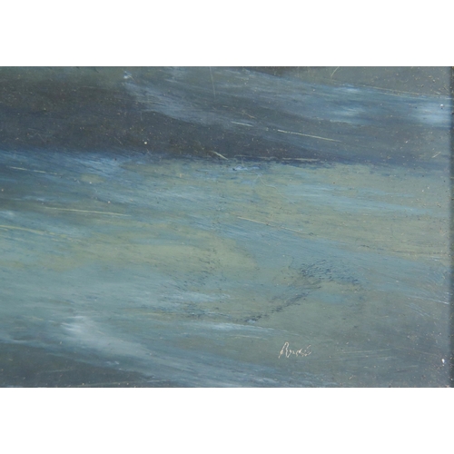 1539 - Stormy Seascape, oil on board, signature indistinguishable, image size 53 x 30 cm, frame 88 x 66 cm,... 