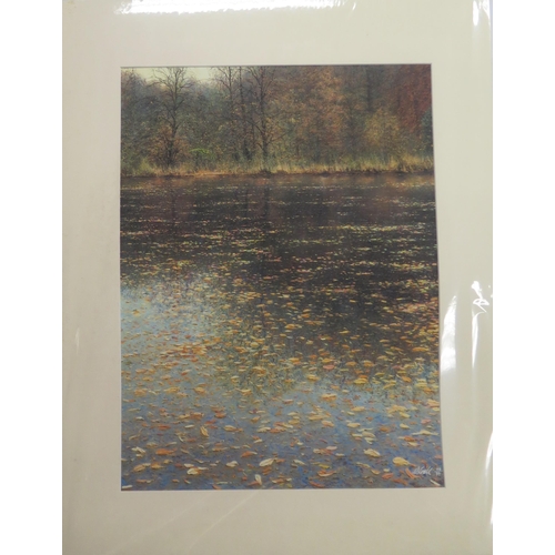 1540 - Andrew Coates b.1955 British/New Zealand, 'Fallen Leaves on Silent Waters', Limited Edition Giclée P... 