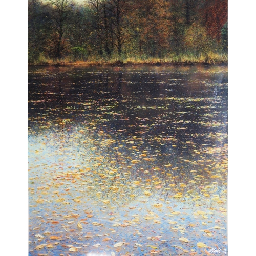 1540 - Andrew Coates b.1955 British/New Zealand, 'Fallen Leaves on Silent Waters', Limited Edition Giclée P... 