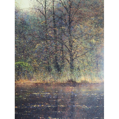 1540 - Andrew Coates b.1955 British/New Zealand, 'Fallen Leaves on Silent Waters', Limited Edition Giclée P... 