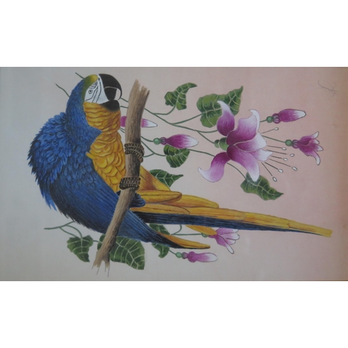 1545 - Robert Lawson, (C20th Painter), Parrot with Fuchsias, watercolour, initialled RL 39 x 30cm, F & G an... 