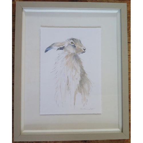 1546 - Heather Fitz, Contemporary animal Artist, print of a Hare on watercolour paper, signed, frame size 5... 