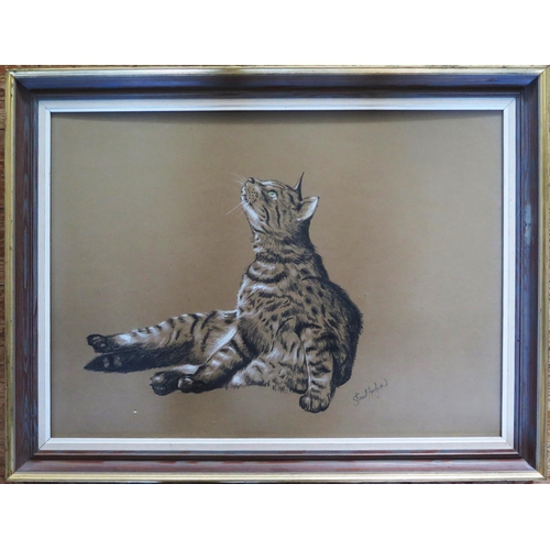 1547 - Stuart Armfield (1916 - 1999) Cornish Artist, 'Tabby Cat', oil pastel on buff paper, signed lower ri... 