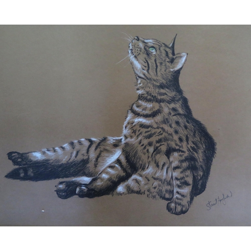 1547 - Stuart Armfield (1916 - 1999) Cornish Artist, 'Tabby Cat', oil pastel on buff paper, signed lower ri... 