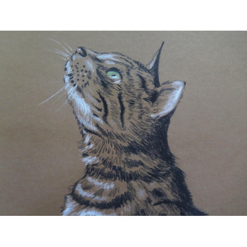 1547 - Stuart Armfield (1916 - 1999) Cornish Artist, 'Tabby Cat', oil pastel on buff paper, signed lower ri... 