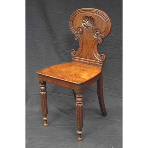 1581 - A Regency period  mahogany hall chair, the shaped back with shell decoration above a solid seat rais... 