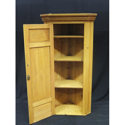 1600 - A Victorian stripped pine corner cupboard, with moulded cornice and panelled cupboard door, W 82cm, ... 