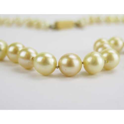 103 - A Single Strand Graduated Pearl or Cultured Pearl Necklace with a precious yellow metal clasp, 20