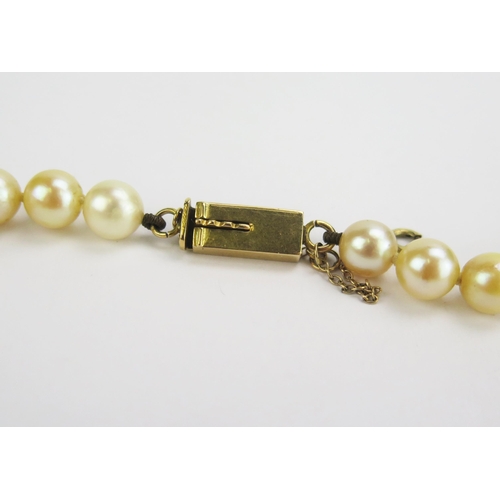 103 - A Single Strand Graduated Pearl or Cultured Pearl Necklace with a precious yellow metal clasp, 20