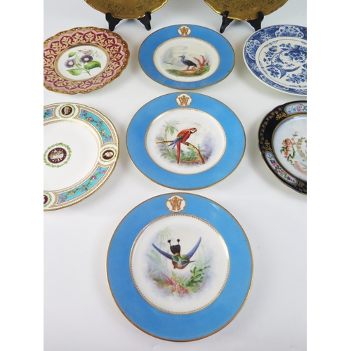 1247 - A set of three 19th century porcelain ornithological plates, enclosed by a powder blue border with g... 