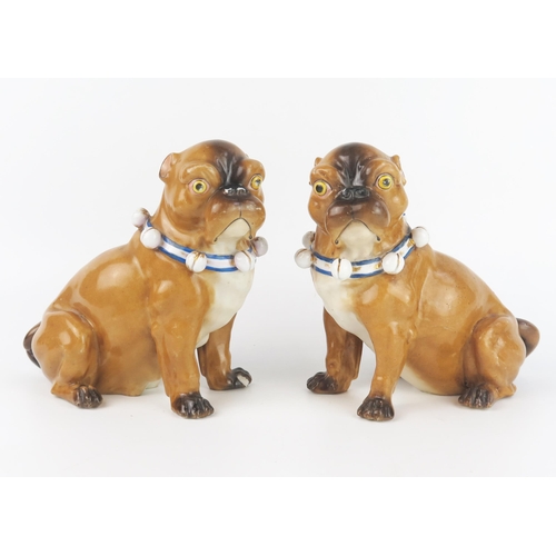 1672 - A pair of German porcelain models of pug dogs, with ribbon tied collars, heightened in gilt, 16.5cm ... 