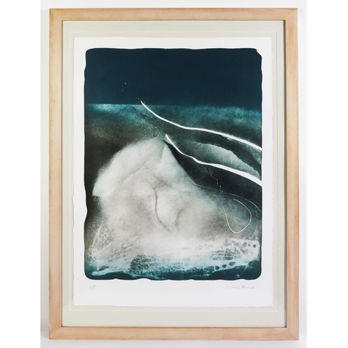 1050 - Michael Honnor (b. 1944), Portheras Gale, pencil signed lithograph 4/5, 76x56cm, framed & glazed

Pr... 